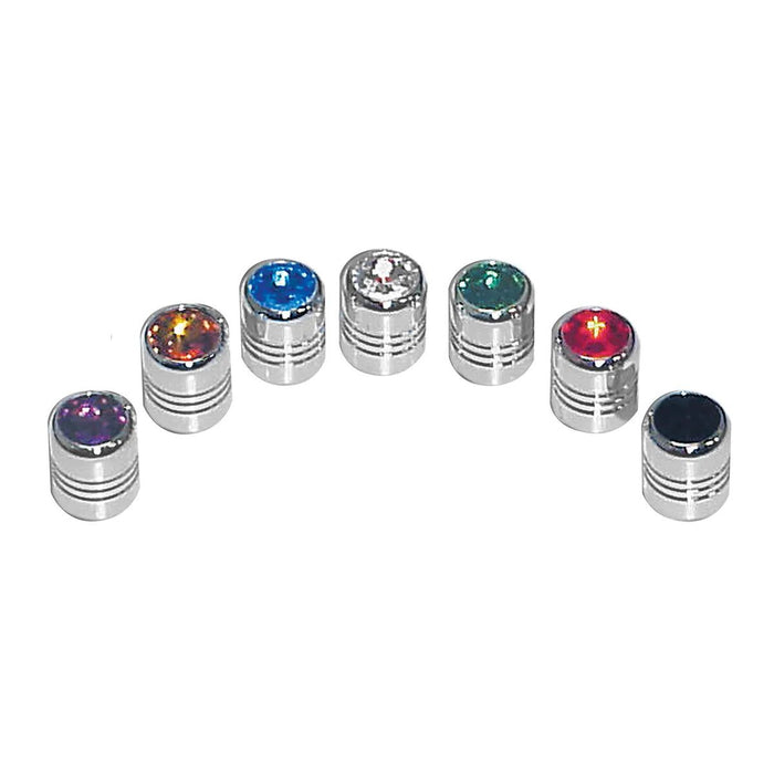License Plate Fasteners with Crystal Tops - White Line Distributors Inc