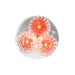 2" & 2-1/2" Beehive Spyder LED Lights - White Line Distributors Inc